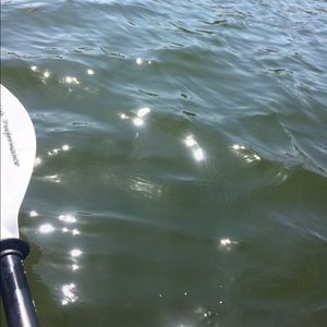 Meet your Posher, Kennadi